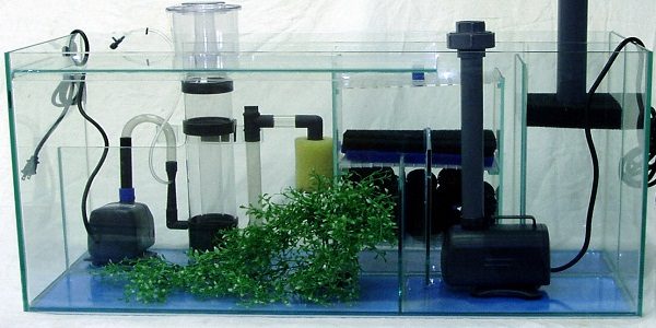 The Aquarium Filter Guide | The Aquarium Guide
